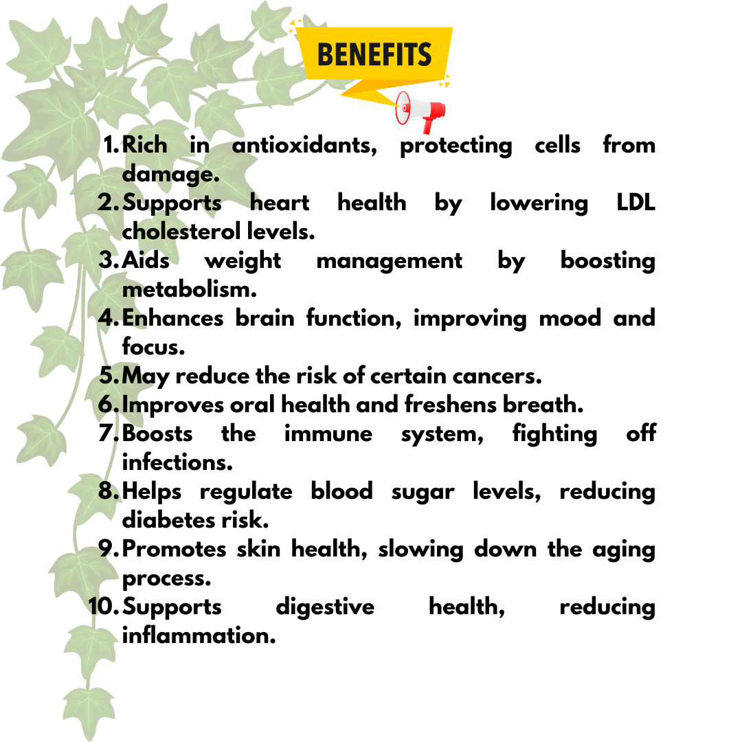Green Tea Whole Leaf 100g (50 Cups)